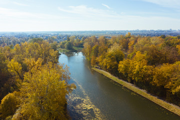 Beautiful river view with autumn trees. Drone flies along a river with yellow trees. Warsaw. Poland. Epic aerial flight over water. Colorful autumn trees in the daytime. Drone Shot 4K.