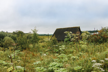 Old wooden farmhouse in a field