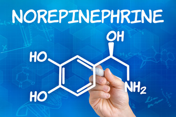 Hand with pen drawing the chemical formula of Norepinephrine