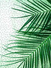 Striped of tropical palm leaf, Vintage tone, Natural pattern