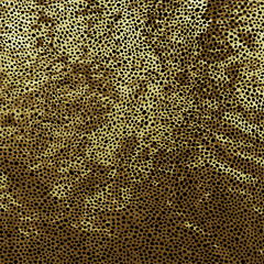 Black and Gold Design. Abstract Background. Vector illustration