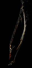 Splash of tea on black background