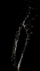 Splash of tea on black background