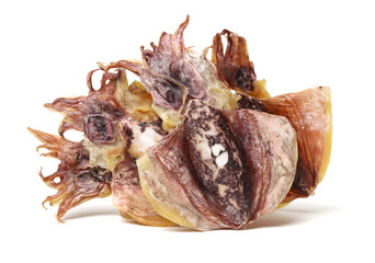 dry squids on white background 