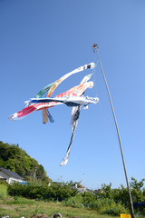 鯉のぼりが泳ぐ