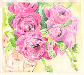 The watercolor drawing or illustration of Ranunculus flower in pink, crimson and green colors