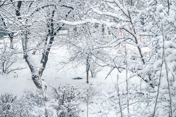 City courtyard is densely covered with snow. View from the window.