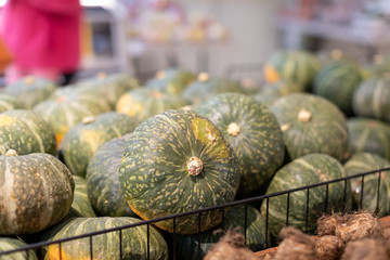 Green pumpkins for sale at the supermarket