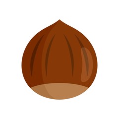 Hazelnut icon. Flat illustration of hazelnut vector icon for web design