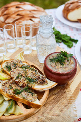 vegetable soup and sandwiches with filling. National cuisine