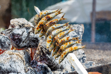 Espeto, Malaga style fish on stick barbecue prepared on olive tree firewoods