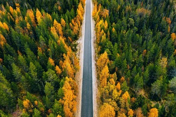 Aerial view of rural road in yellow and orange autumn forest in rural Finland.