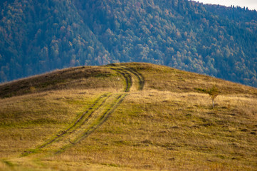 Autumn landscape in the mountains