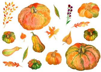 Set of watercolor pumpkins and autumn leaves