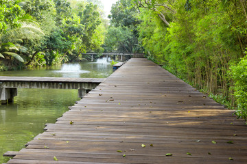 Wooden Bridge Over Canal in Garden