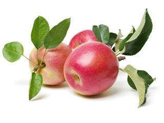 Red apples isolated on white background