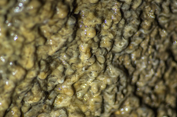 Mineral on the wall of the cave