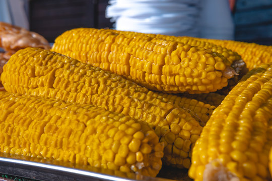 Corn cobs on the grill lie beautifully on the counter. Close up image with corns. Asian, Indian and Chinese street food. Food court on local market outdoor.