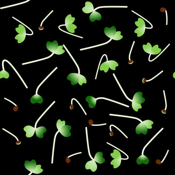 Microgreens Komatsuna. Sprouting seeds of a plant. Seamless pattern. Vitamin supplement, vegan food.