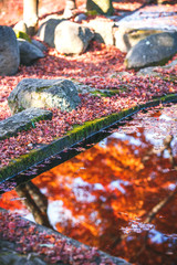 紅葉と水面の映り込み