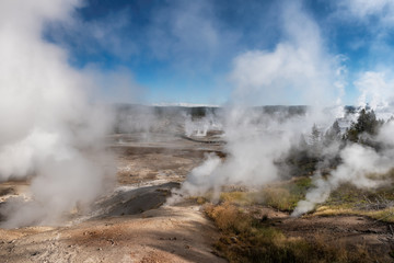 Geysers in Yellowstone National Park, Norris Geyser Basin