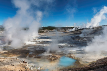 Geysers in Yellowstone National Park, Norris Geyser Basin