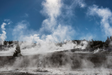 Yellowstone National Park, Norris Geyser Basin