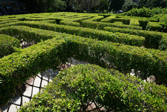 Garged maze 4 ' labyrinth