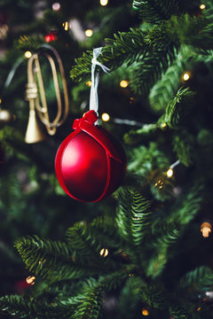Christmas decorations on the branches of spruce. vertical image