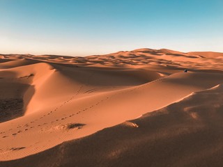 Fototapeta na wymiar deserto