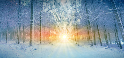 Beautiful winter landscape with snow covered trees and sun.