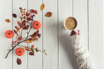 Woman with cup of coffee, leaves, small pumpkins and rowan on white retro wood boards. background. Autumn, fall concept. Flat lay, top view.