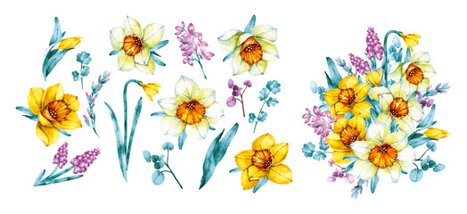 Fototapeta na wymiar Set of daffodils, leaves, twigs