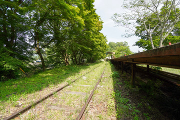 Fototapeta premium 三河広瀬駅., 愛知, 豊田市, 東広瀬町, 廃駅, 駅, みかわひろせ, mikawa hirose, 5月, 線路, 廃線