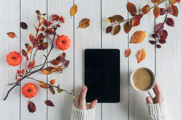 Woman with cup of coffee and tablet, leaves, rowan and small pumpkins on white retro wood boards. background. Autumn, fall concept. Flat lay, top view. Instagram style