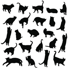 Set vector silhouettes of the cat, different poses, standing, jumping and sitting,  black color, isolated on white background