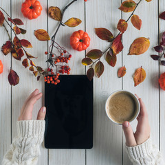 Woman with cup of coffee and tablet, leaves, rowan and small pumpkins on white retro wood boards. background. Autumn, fall concept. Flat lay, top view. Instagram