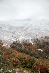 Colorful autumn in the mountains. First snow in october