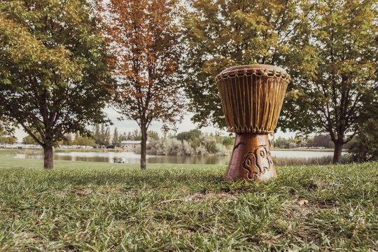 tocando timbal en naturaleza