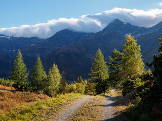 Obraz premium Herbst in den Alpen 7