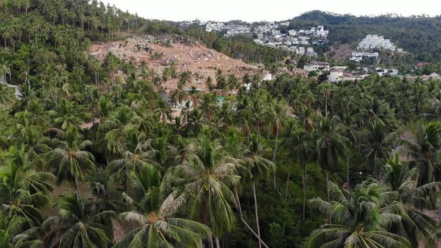 Tropical terrain covered with endangered forests and luxury villas. Drone view of large tropics with ecosystem disturbance due to buildings and deforestation. Koh Samui. Coconut palm plantations