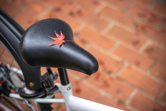 落ち葉と自転車　秋イメージ