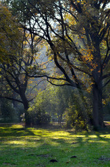 landscape and wildlife