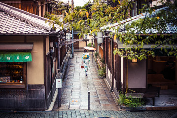 Fototapeta na wymiar 日本に、京都があってよかった。京都に、君がいてよかった