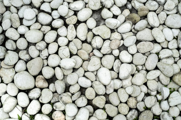 Texture dirty pebble stone. Background of gray sea stones
