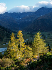 Herbst in den Alpen 1