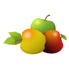Vector cartoon element for design. Three delicious apples with stem and leaves, fruit design. Photo Realistic illustration of healthy vegetarian food. Perfect for grocery store, drinks and more