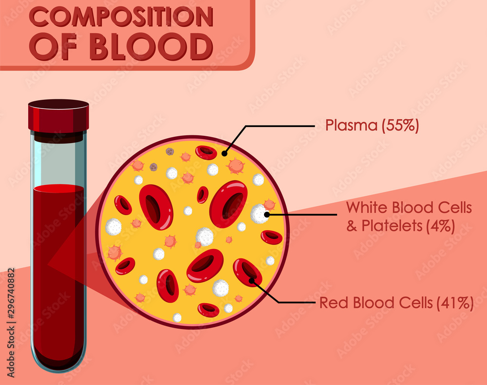 Wall mural Diagram showing composition of blood