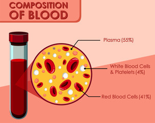 Diagram showing composition of blood