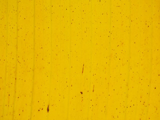 yellow banana leaves texture